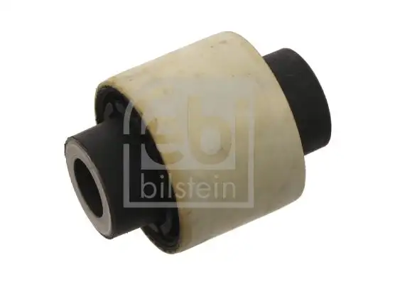 FEBI 29938 Salıncak Burcu